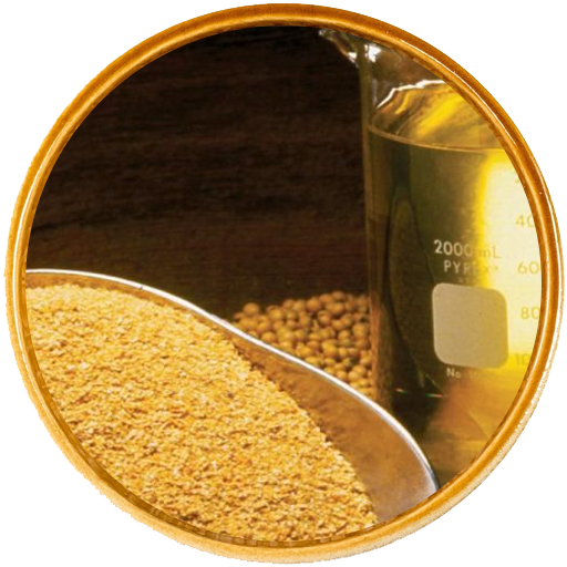 Hijaz Suppliers Limited - Defatted Soybean Meal