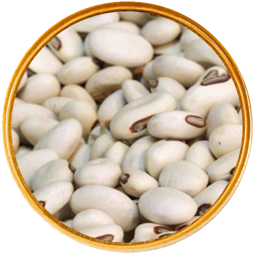 Hijaz Suppliers Limited - White pea beans