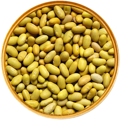 Hijaz Supplies Limited -Yellow Beans