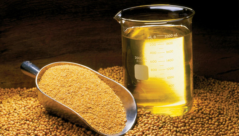 hijaz_suppliers_limited_products_header_Defatted Soybean Meal