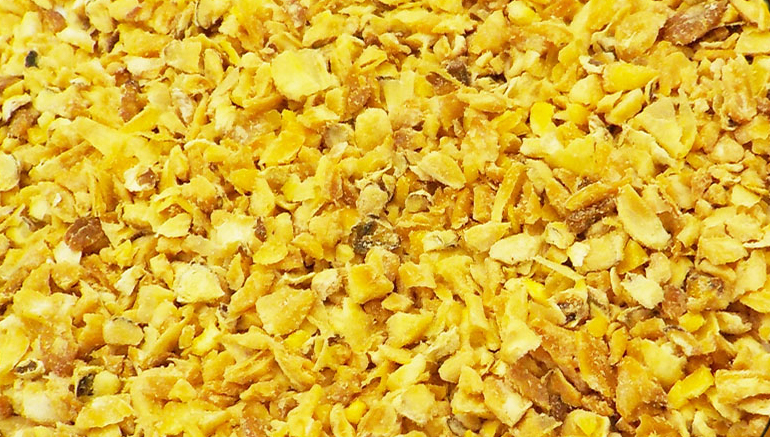 hijaz_suppliers_limited_products_header_maize-germ