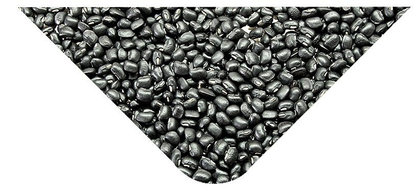 hijaz_suppliers_tri_black_beans