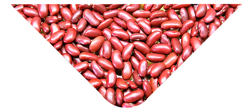 hijaz_suppliers_tri_red_beans