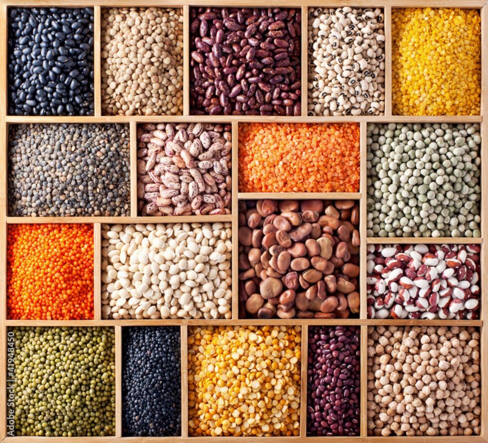 Hijaz Suppliers Limited - Grains, Legumes, Pulses, Animal Feeds